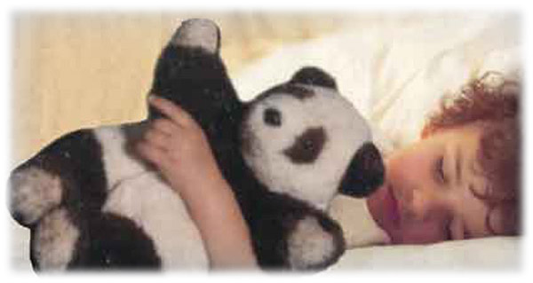 PANDA BEAR
